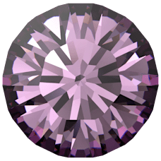 1028 - Iris