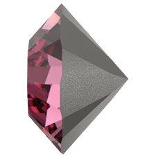 1028 - Rose