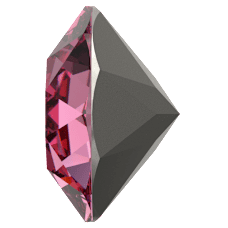 1088 - Rose