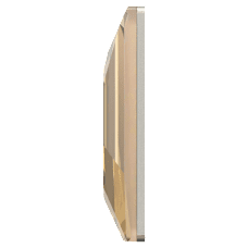 2555 - Crystal Golden Shadow F