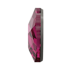 2808 - Fuchsia F