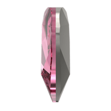 4809 - Rose