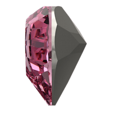 4884 - Rose