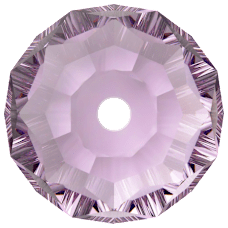 5040 - Iris